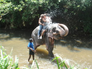 Una vacanza autentica, Sri Lanka - agosto 2012